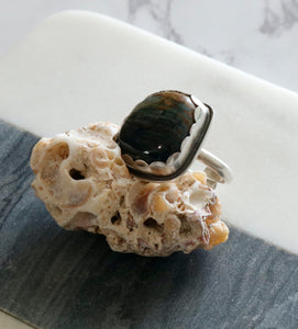 Petrified Wood Sterling Silver Ring